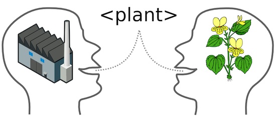 Interoperability. What do we mean by plant. A type of factory or a flower?