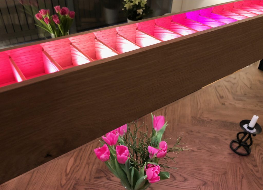 A led strip mimics the colors from pink tulips in a vase.